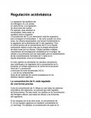 Regulación acida