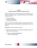 Actividad 1 Identificación y análisis de la estructura del gobierno corporativo
