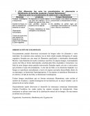 ¿Qué diferencias hay entre los procedimientos de observación e identificación de bacterias, levaduras y hongos filamentosos?