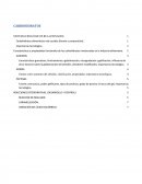 CARBOHIDRATOS SISTEMAS BIOLÓGICOS RELACIONADOS