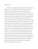 Fármacos antidepresivos. 2 grupos