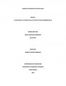 GENETICA APLICADA EN CULTIVO DE PECES MARINOS ORNAMENTALES