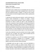 Informe sobre el documental “Home”