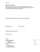 MATRICES Y DETERMINANTES.