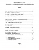 IDENTIDAD NACIONAL. IDIOMAS DEL PERU