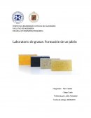 Laboratorio: Formacion de Jabon
