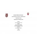 En este caso contamos con un Director o Líder quien está al frente de la empresa el cual cuenta con actitudes positivas, acostumbrado a trabajar en equipo, objetivo, con un Don de mando e iniciativa propia.