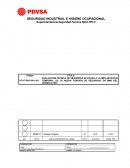 EVALUACION TECNICA DE SEGURIDAD DE LAS FRANJAS DE SEGURIDAD SSO.