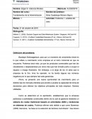 Reporte evidencia Eztravaganzza.