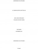 LA COMUNICACIÓN EN SURTIGAS SA.