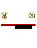 FISIOLOGÍA DEL APARATO RESPIRATORIO- ENSAYO 1 PARCIAL.ю