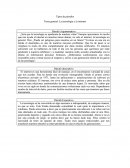 Tema general: La tecnología y la internet.