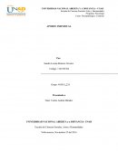 APORTE INDIVIDUAL. APÉNDICES