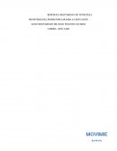 Movimiento Circular.