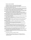 La filosofía es un saber único, un saber supuesto, distinto al científico..