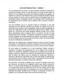 UN ECOSISTEMA NATURAL Y HUMANO.