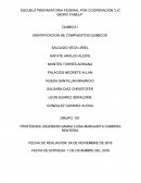 QUIMICA I IDENTIFICACION DE COMPUESTOS QUIMICOS