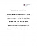 10 principios generales de derecho
