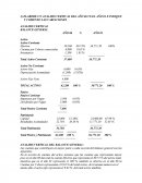 ANALISIS VERTICAL DEL BALANCE GENERAL.