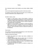 Turbina materiales dentales.