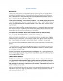 El narcotráfico. ¿Cuáles fueron sus orígenes?