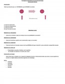 Estrategias de capacitación en prevención de riesgos.