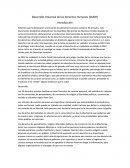 Ensayo Desarrollo Universal de los Derechos Humanos (DUDH)