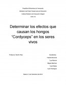 Determinar los efectos que causan los hongos “Cordyceps” en los seres vivos