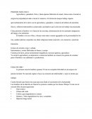 Edad media paleolitico inferior y superior