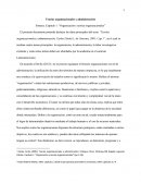 Síntesis, Capitulo 1: “Organización y teorías organizacionales”