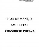 Plan manejo ambiental