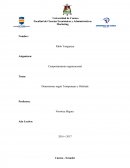 Dimensiones según Trompenaars y Hofstede.