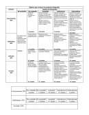 RUBRICA MEDIA SUPERIOR.