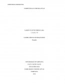 Habilidades comunicativas. Relación de las competencias comunicativas con la fonoaudiología