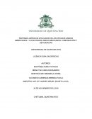 Reporte de Investigación de la Carrera de Derecho de la universidad de Quintana Roo.