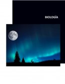 Habilidades socio-emocionales