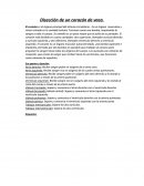 Disección de un corazón de vaca...