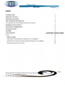 AUDITORIA EMPRESA DE ANIMACIÓN DE FIESTA EN FIESTA