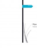 Realizar un plan de marketing, que detalle las acciones y estrategias a realizar, con el nuevo producto RP-bag.