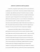 Ensayo sobre garantías constitucionales