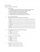 Los verbos son palabras que indican acción..