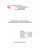 MOVIMIENTO MILITAR Y POLÍTICO PATRIOTICO LAS MASAS POPULARES EN EL MOVIMIENTO INDEPENDENTISTA