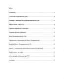 Sector Silvoagropecuario en la economía chilena.