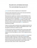 PELIGRO DE LAS REDES SOCIALES.