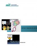 ANALISIS DE UN PROBLEMA IDENTIFICACIÓN Y FORMULACIÓN DE PROBLEMAS
