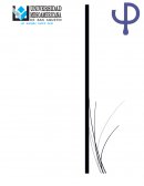 El acontecimiento estudiantil de la UNAM y del IPN que sucedió en 1968