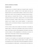 SISTEMA NERVIOSO AUTÓNOMO. Anatomía fisiológica de sistema nervioso simpático