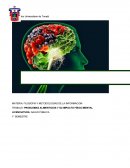 Problemas alimenticios e impacto fisico mental