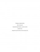 Patologías complementarias. Anatomofisiología humana y primeros auxilios.