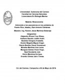 Entrevista a los pescadores en los poblados de Puerto Rico, Atasta y San Antonio Cárdenas.